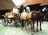 Gakowo - Knajpa u Targowiczan